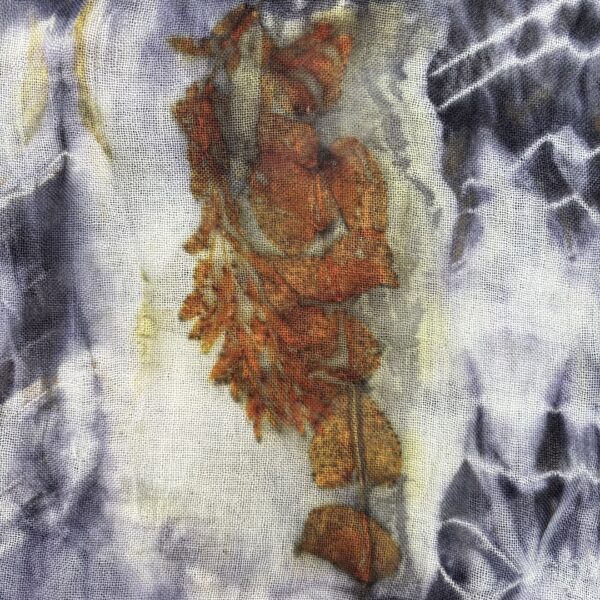 Eukalyptus Blue I – Bild 4